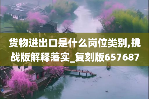 货物进出口是什么岗位类别,挑战版解释落实_复刻版657687