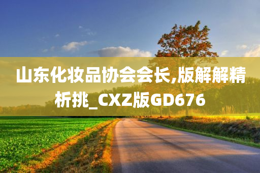 山东化妆品协会会长,版解解精析挑_CXZ版GD676