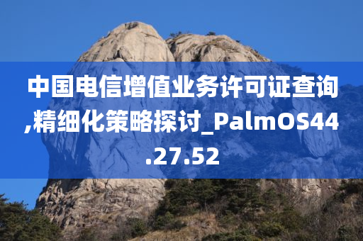 中国电信增值业务许可证查询,精细化策略探讨_PalmOS44.27.52