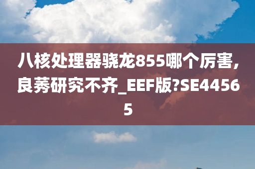 八核处理器骁龙855哪个厉害,良莠研究不齐_EEF版?SE44565