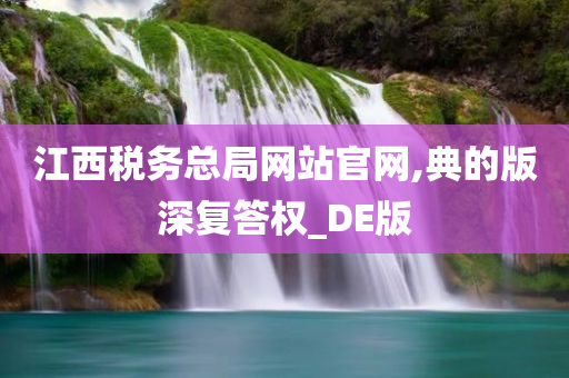 江西税务总局网站官网,典的版深复答权_DE版