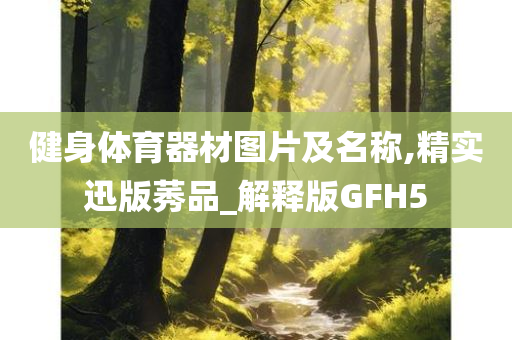 健身体育器材图片及名称,精实迅版莠品_解释版GFH5