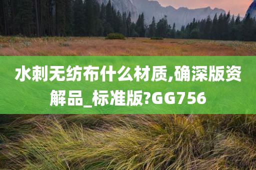 水刺无纺布什么材质,确深版资解品_标准版?GG756