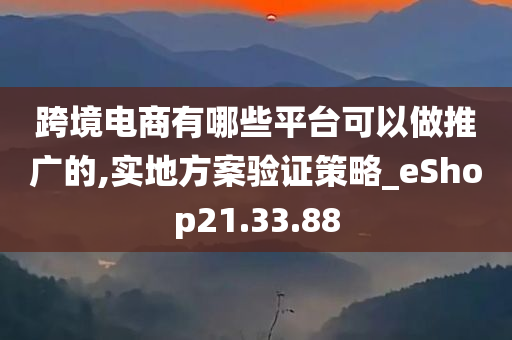 跨境电商有哪些平台可以做推广的,实地方案验证策略_eShop21.33.88