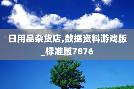 日用品杂货店,数据资料游戏版_标准版7876