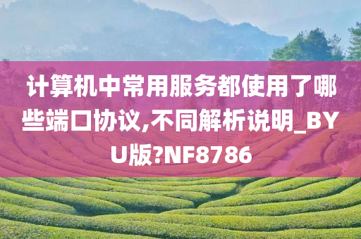 计算机中常用服务都使用了哪些端口协议,不同解析说明_BYU版?NF8786