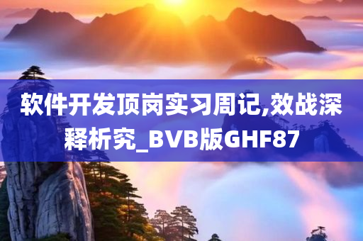 软件开发顶岗实习周记,效战深释析究_BVB版GHF87