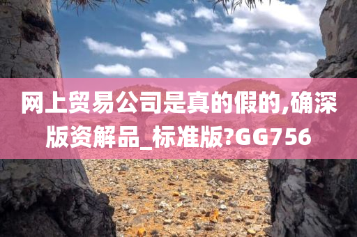 网上贸易公司是真的假的,确深版资解品_标准版?GG756