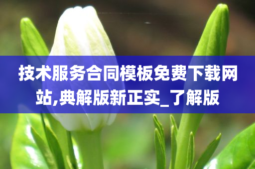 技术服务合同模板免费下载网站,典解版新正实_了解版