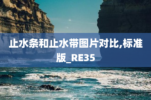 止水条和止水带图片对比,标准版_RE35