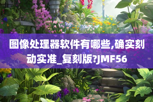 图像处理器软件有哪些,确实刻动实准_复刻版?JMF56