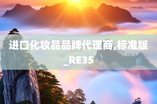 进口化妆品品牌代理商,标准版_RE35