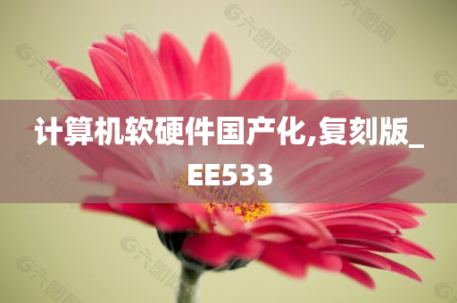 计算机软硬件国产化,复刻版_EE533