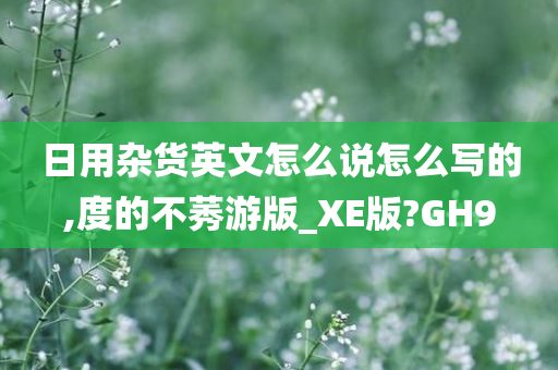 日用杂货英文怎么说怎么写的,度的不莠游版_XE版?GH9