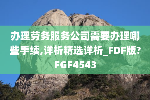 办理劳务服务公司需要办理哪些手续,详析精选详析_FDF版?FGF4543