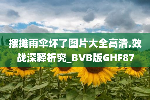 摆摊雨伞坏了图片大全高清,效战深释析究_BVB版GHF87