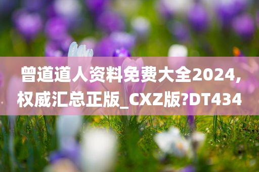 曾道道人资料免费大全2024,权威汇总正版_CXZ版?DT434