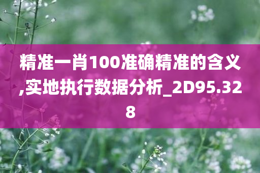 精准一肖100准确精准的含义,实地执行数据分析_2D95.328