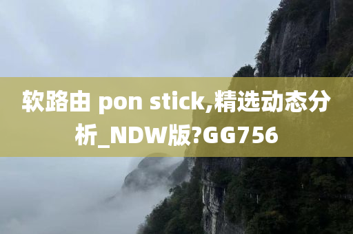 软路由 pon stick,精选动态分析_NDW版?GG756