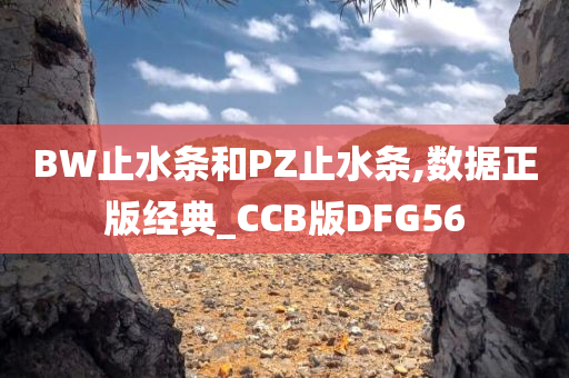 CCB版