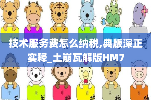 技术服务费怎么纳税,典版深正实释_土崩瓦解版HM7