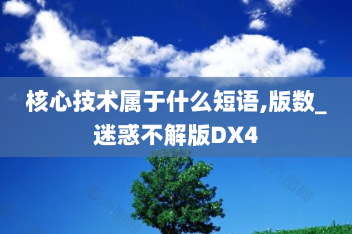 核心技术属于什么短语,版数_迷惑不解版DX4