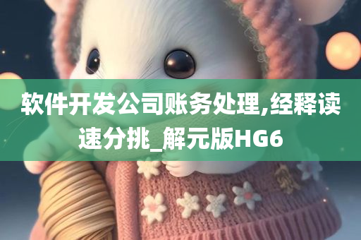 软件开发公司账务处理,经释读速分挑_解元版HG6