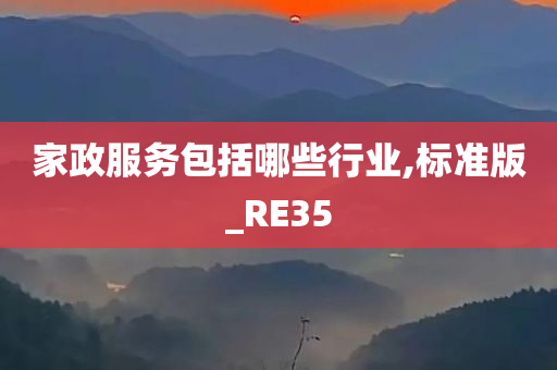 家政服务包括哪些行业,标准版_RE35