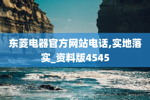 东菱电器官方网站电话,实地落实_资料版4545