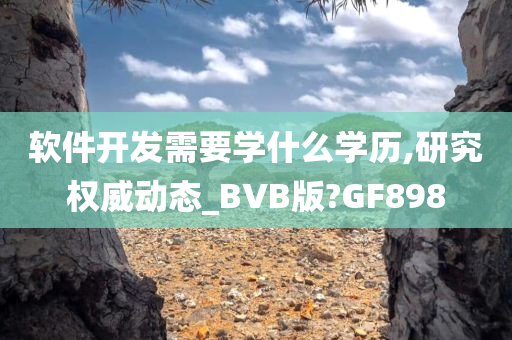 软件开发需要学什么学历,研究权威动态_BVB版?GF898