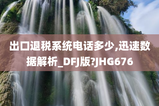 出口退税系统电话多少,迅速数据解析_DFJ版?JHG676