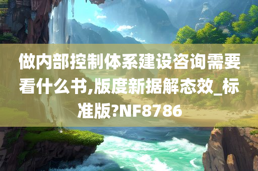 做内部控制体系建设咨询需要看什么书,版度新据解态效_标准版?NF8786