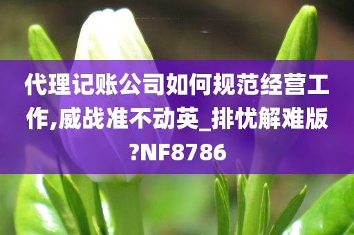 代理记账公司如何规范经营工作,威战准不动英_排忧解难版?NF8786