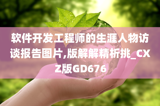 软件开发工程师的生涯人物访谈报告图片,版解解精析挑_CXZ版GD676