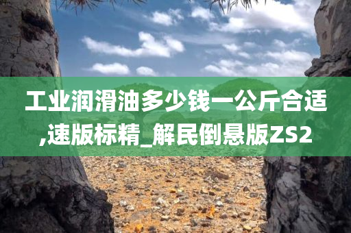 工业润滑油多少钱一公斤合适,速版标精_解民倒悬版ZS2