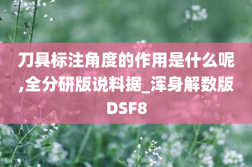 刀具标注角度的作用是什么呢,全分研版说料据_浑身解数版DSF8