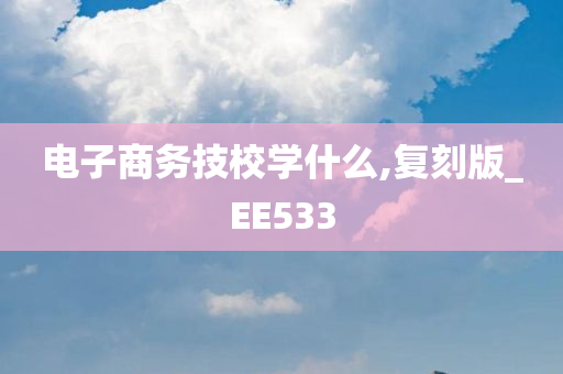 电子商务技校学什么,复刻版_EE533