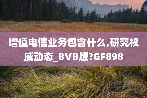 增值电信业务包含什么,研究权威动态_BVB版?GF898