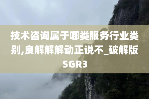 技术咨询属于哪类服务行业类别,良解解解动正说不_破解版SGR3