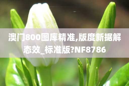 澳门800图库精准,版度新据解态效_标准版?NF8786