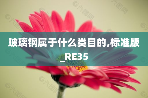 玻璃钢属于什么类目的,标准版_RE35