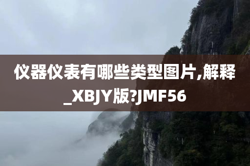 仪器仪表有哪些类型图片,解释_XBJY版?JMF56