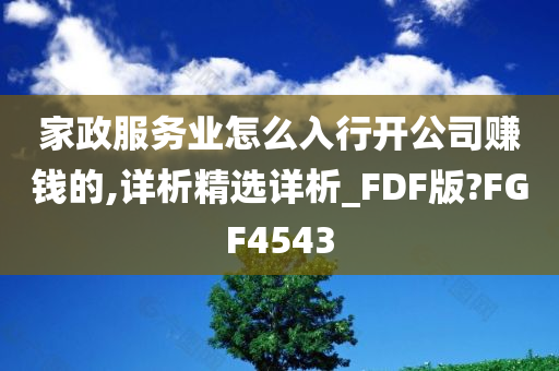 家政服务业怎么入行开公司赚钱的,详析精选详析_FDF版?FGF4543