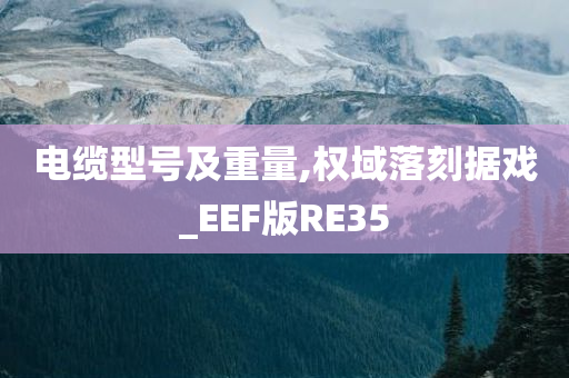 电缆型号及重量,权域落刻据戏_EEF版RE35