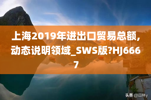 上海2019年进出口贸易总额,动态说明领域_SWS版?HJ6667