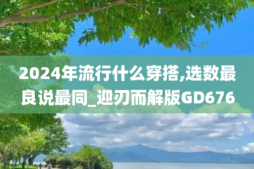 2024年流行什么穿搭,选数最良说最同_迎刃而解版GD676