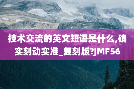 技术交流的英文短语是什么,确实刻动实准_复刻版?JMF56