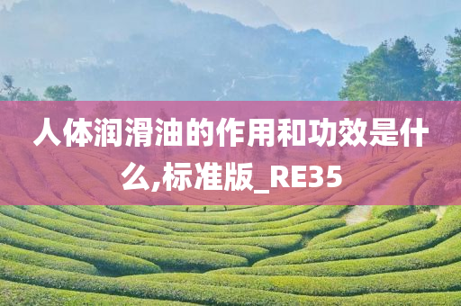 人体润滑油的作用和功效是什么,标准版_RE35