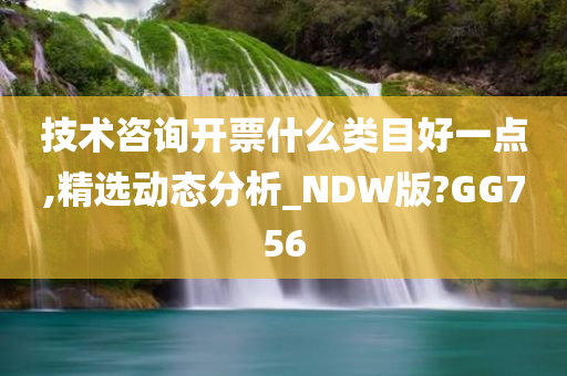 技术咨询开票什么类目好一点,精选动态分析_NDW版?GG756