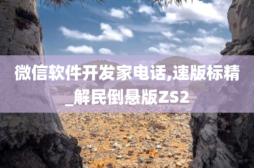 微信软件开发家电话,速版标精_解民倒悬版ZS2